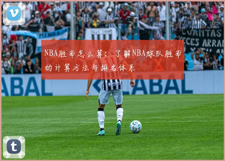 NBA胜率怎么算:了解NBA球队胜率的计算方法与排名体系