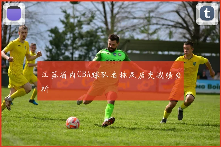 江苏省内CBA球队名称及历史战绩分析