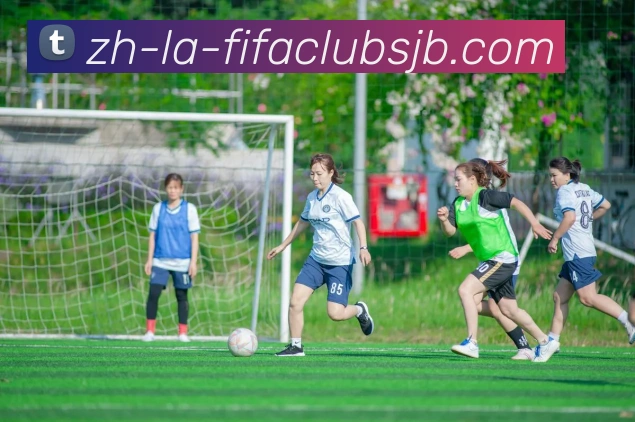 世界杯赛程平台生态图